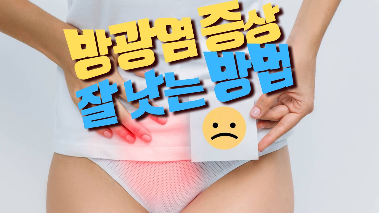 Read more about the article 방광염 증상 계속 재발할 때 가장 좋은 방법