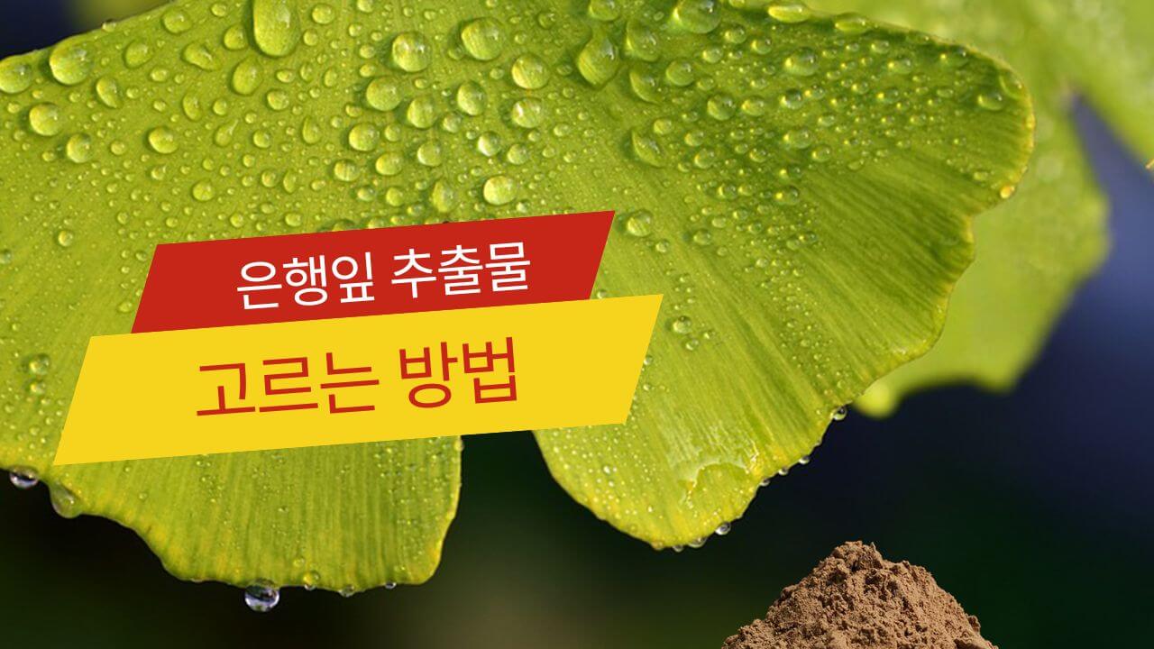 Read more about the article 은행잎 추출물 영양제 추천 3가지와 주의사항