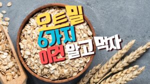 Read more about the article 오트밀 먹는법 6가지는 알고 먹어야지