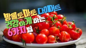 Read more about the article 방울토마토 다이어트 하기 전 알아야 하는 6가지