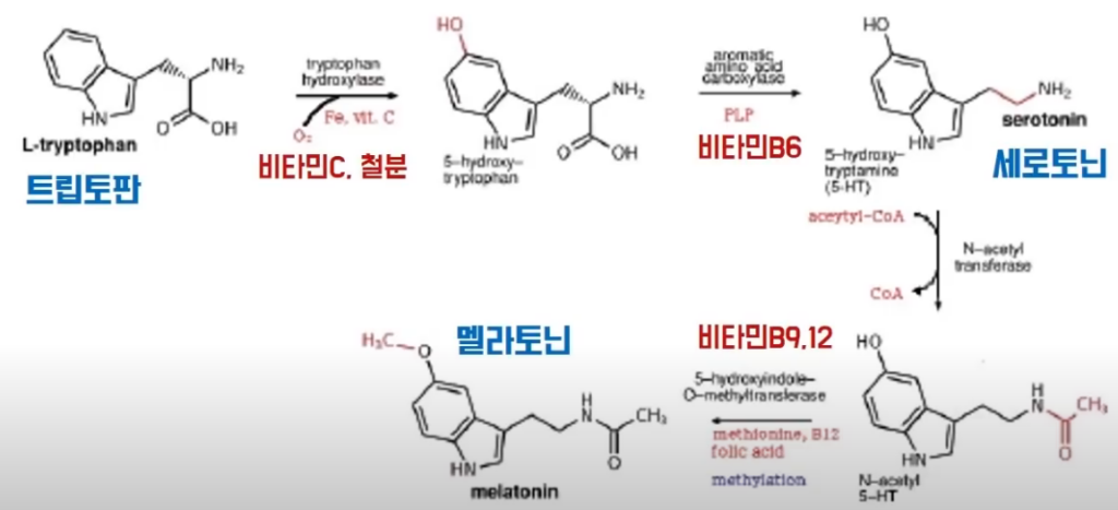 면역력 높이는 법 3